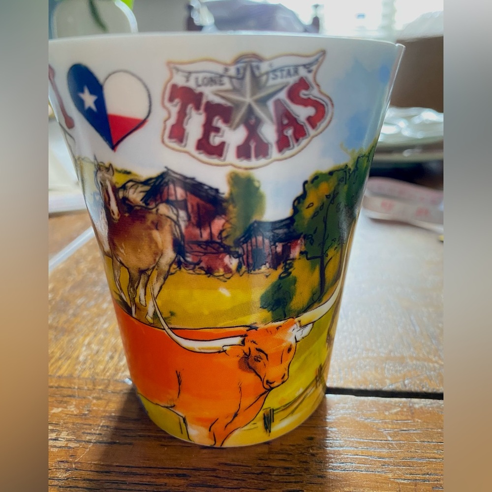 Texas Mug and PLATE. W/Everything You Want To Know About Texas! DETAIL Graphics